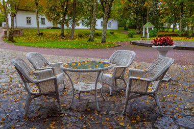 Yuvarlak masa ve hasır sandalyeleri park sonbahar kafe