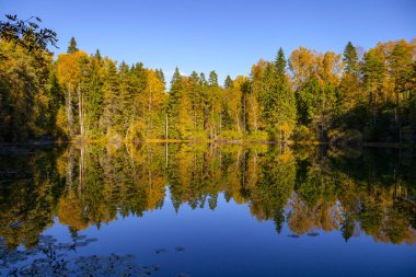 Sonbahar orman yansıma gölet, Aegviidu, Estonya