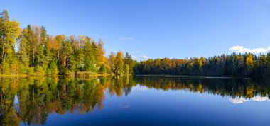 Sonbahar orman yansıma gölet, Aegviidu, Estonya