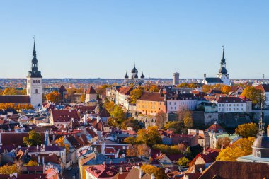 Niguliste Kilisesi, Nevski Katedrali, Pikk Herman Kulesi ve Dome Kilisesi. Kuleleri ve kırmızı çatılar eski Tallinn, Estonya. Havadan görünümü, sonbahar sezon