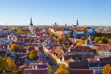 Tam eski Tallinn kuleleri, kırmızı çatılar, kiliseler ve Kalesi ile klasik panoramik görünüm. Havadan görünümü, sonbahar sezon