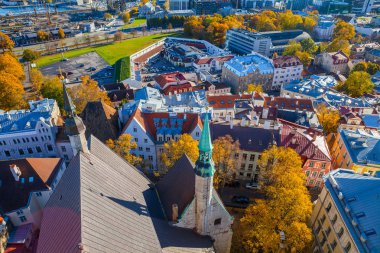 Eski Tallinn en yüksek Oleviste kuleden çatılar. Havadan görünümü, sonbahar sezon