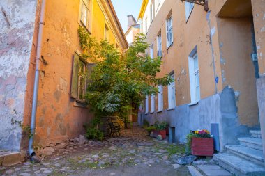 Yeşillik ile eski şehrin dar sokak. Tallinn, Estonya