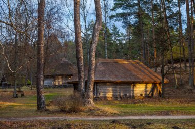 Rustik çiftlik, köylü ev görünümünü. Baltık ve Kuzey ahşap mimarisi