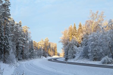Çam ağaçları orman Road buzlu