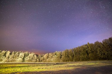Bir gece açık gösteren yıldız. Estonya donmuş göl yakınındaki ışıklı orman.