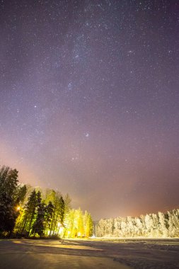 Bir gece açık gösteren yıldız. Estonya donmuş göl yakınındaki ışıklı orman.