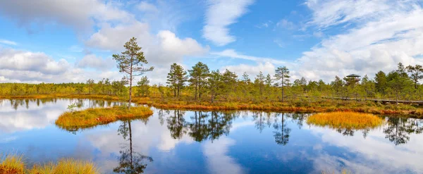 Kilátással tó mocsári fenyő-sziget. Viru-lápok, a Lahemaa nemzeti park — Stock Fotó