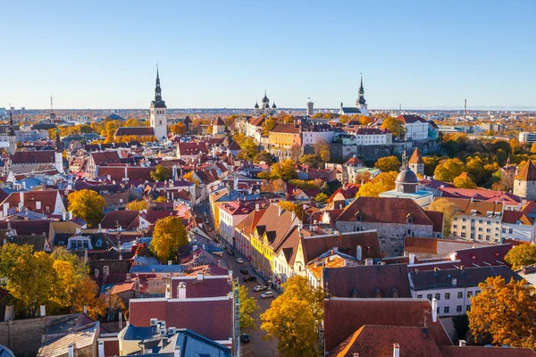 Tam eski Tallinn kuleleri, kırmızı çatılar, kiliseler ve Kalesi ile klasik panoramik görünüm. Havadan görünümü, sonbahar sezon