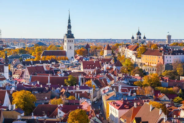 Нигустская церковь, Невский собор, Пикккская башня. Эстония, Тауэр и красные крыши старой столицы. Вид с воздуха, осень — стоковое фото