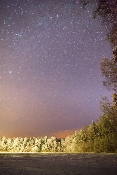 Una noche clara mostrando estrellas. Bosque iluminado cerca del lago congelado en Estonia . — Foto de Stock