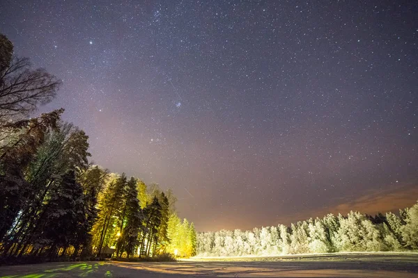 Une nuit claire montrant des étoiles. Forêt éclairée près d'un lac gelé en Estonie . — Photo