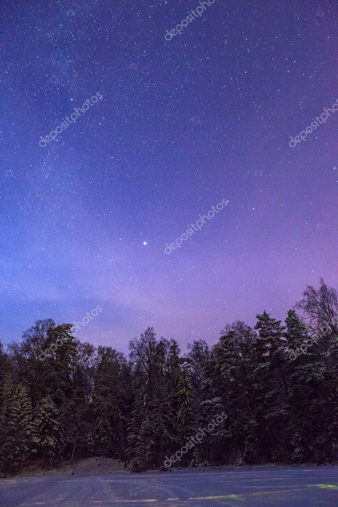 yegorov.nick