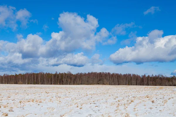 Paisaje rural invernal. Campo cubierto de nieve, árboles y el cielo azul con nubes . — Foto de Stock