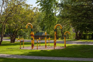Park, baston, sarı renkli olanlar. Sigulda, Letonya
