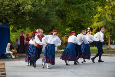 Tallinn, Estonya - 02 Haziran 2016: Estonya halk dansçılar geleneksel renkli desen giysiler ile. Folklor Festivali Eski Şehir Parkı.