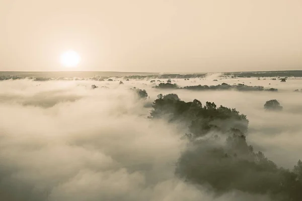 Sonnenaufgang über mit Nebel bedeckten Hügeln und Bäumen. Sepia getöntes Bild. — Stockfoto