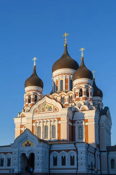 Alexander Nevsky Cathedral in Tallinn, Estonia — Stock Photo, Image