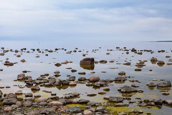 Baltık Denizi kıyılarında granit kayalar bulutlu gün ile. Rahatlatıcı ve soğuk peyzaj.