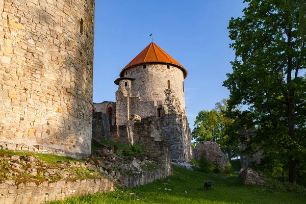 Güzel eski şehir Cesis, Letonya eski Livonya kale kalıntıları görünümünü. Yeşillik ve yaz gündüz.