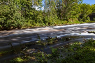 Nehir akıyor. Uzun pozlama yaz gün.