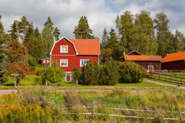 Köyde tipik İskandinav ahşap evler. Dalarna county, İsveç.