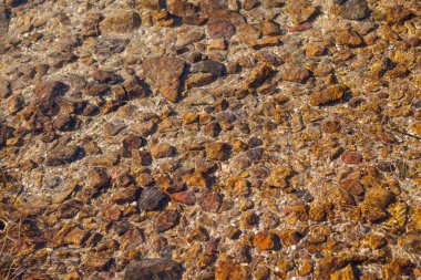 Deniz su altında turuncu renkli taşlar