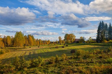 Güzel kırsal manzara. Hasat çayır ve mavi gökyüzü bulutlu yuvarlak saman balya