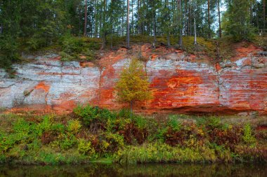 Kumtaşı rock Nehri Salaca, Letonya. Sonbahar.