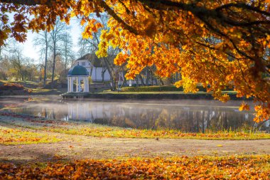 Parlak renkli görünümünü yeşillik bir gölet ve rotunda bir parkta düşmek. Ön altın ağacı