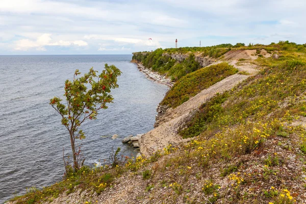 バルト海の岩の多い海岸。北エストニア. — ストック写真