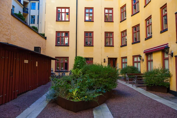 Buisson vert dans la cour du bloc vivant. Stockholm, Suède . — Photo