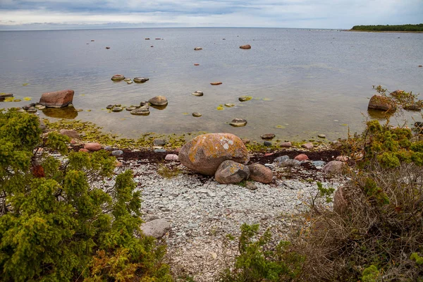 美しい岩の多い海岸。バルトの石灰岩の崖. — ストック写真