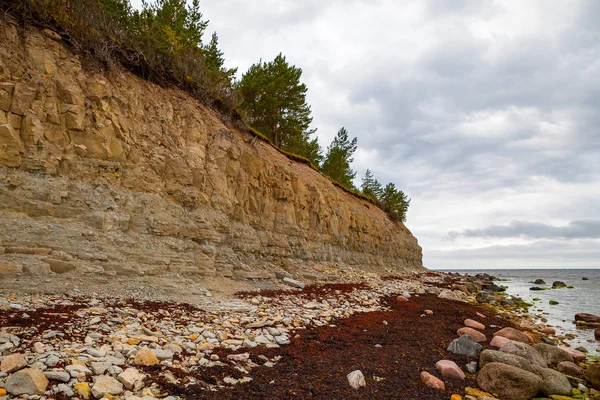美しい岩の多い海岸。バルトの石灰岩の崖. — ストック写真