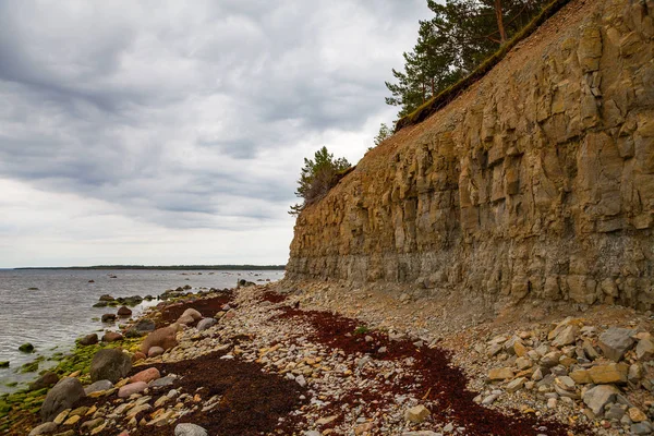 美しい岩の多い海岸。バルトの石灰岩の崖. — ストック写真