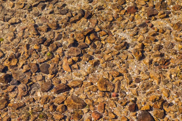 Deniz su altında turuncu renkli taşlar