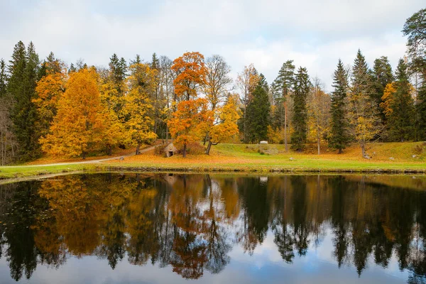 Röda och orange höstfärger som återspeglas i det klara vattnet i dammen. — Stockfoto