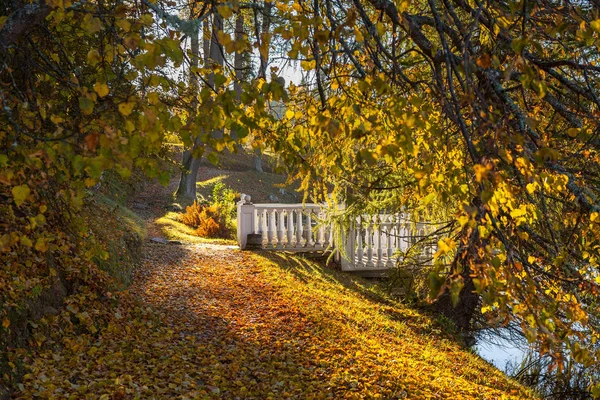 Weg im Herbstpark rund um einen Teich mit Brücke. Oktober Herbstzeit. — Stockfoto