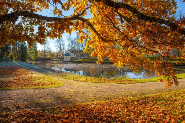 Parlak renkli görünümünü yeşillik bir gölet ve rotunda bir parkta düşmek. Ön altın ağacı