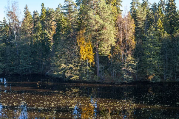 Forêt d'automne sur les collines autour du lac. C'est l'automne ensoleillé. Europe du Nord . — Photo