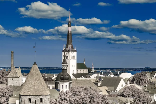 Старый городской пейзаж Таллинна. Инфракрасная фотография, обмен цветами . — стоковое фото