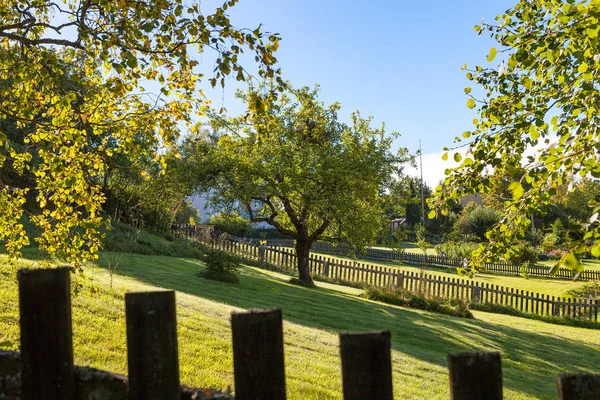 Green backyard area with trees and grass and wooden fence at the foreground Royalty Free Stock Photos