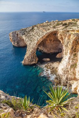 Mavi Mağara kireçtaşı ark, Malta Adası'nın görkemli doğa dönüm noktası. Dikey egzotik bitki ile ön plan vurdu..