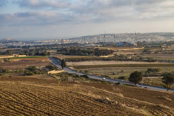 Malta kırsal manzara. Alanları, egzotik bitkiler, köyleri.