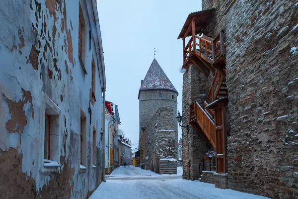 Kar, Estonya 'nın Tallinn kentindeki eski caddenin büyülü kış manzarasını kapladı. Eski duvar ve kulelerle soğuk tonlu resim.