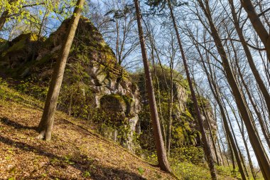 Ormanda kum taşı kayaları. Güneşli bir yaz günü. Hruba skala veya Bohemian Cennet Parkı.