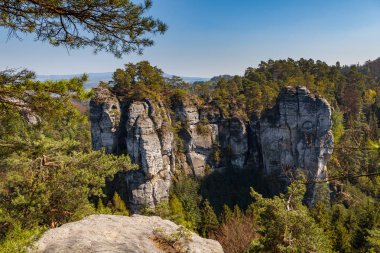 Kum taşı dik kayaları ormandaki parmaklar gibi görünür. Güneşli bir yaz günü. Hruba skala veya Bohemian Cennet Parkı.
