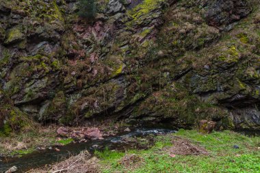 Prag 'da bahar zamanı Divoka Sarka parkta sallanıyor..