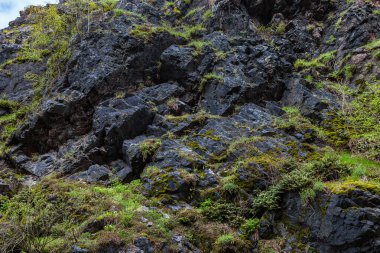 Kayaların yapısı. Valley Divoka Sarka Prag 'da, bahar zamanı.