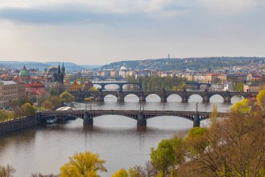 Vltava nehri üzerindeki Prag köprülerinin tarihi bir manzarası var. Gündüz, bahar mevsimi, yeşil park ön planda.
